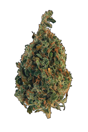 Purple Candy | BC Weed Edible Canada