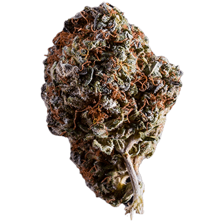 White Widow | BC Weed Edible Canada