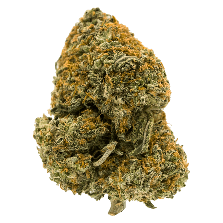 Blackberry Kush – (Popcorn) | BC Weed Edible Canada