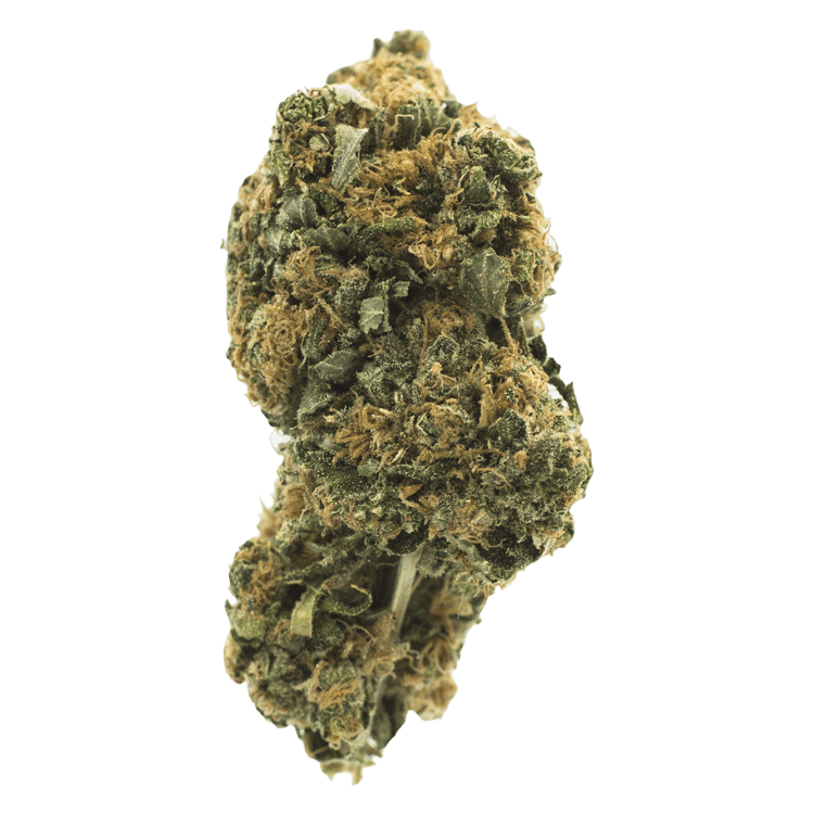 Orange Romulan | BC Weed Edible Canada