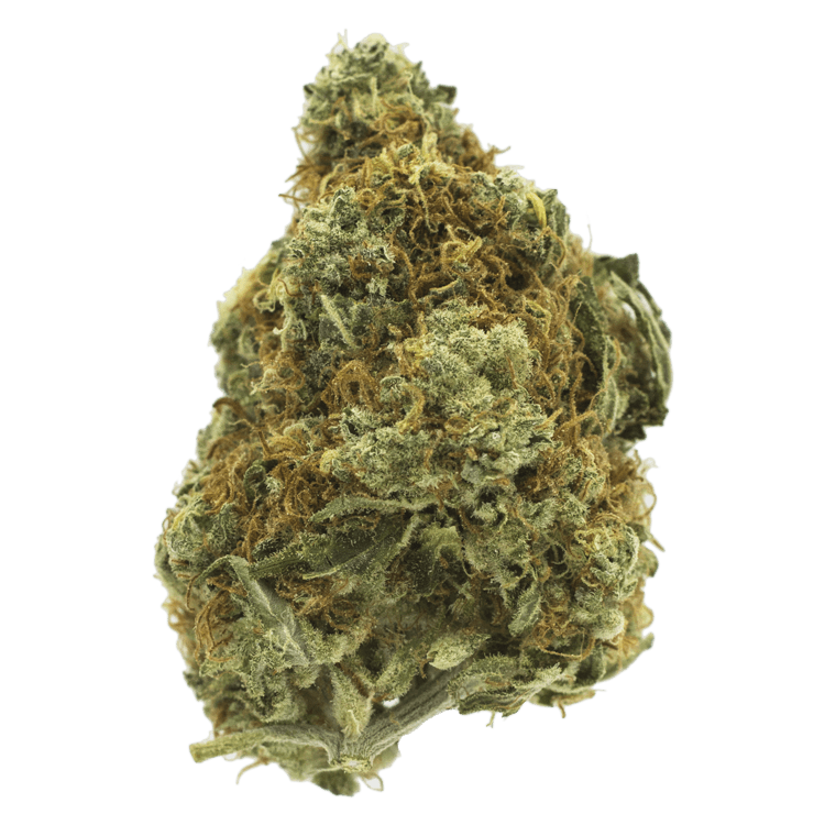 Cappuccino 420 | BC Weed Edible Canada