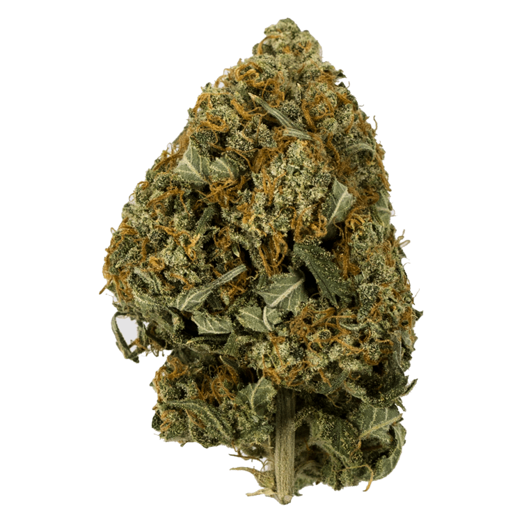 Snow White – 1 ounce | BC Weed Edible Canada Snow White – 1 ounce | BC Weed Edible Canada