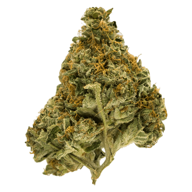 Durban Poison | BC Weed Edible Canada