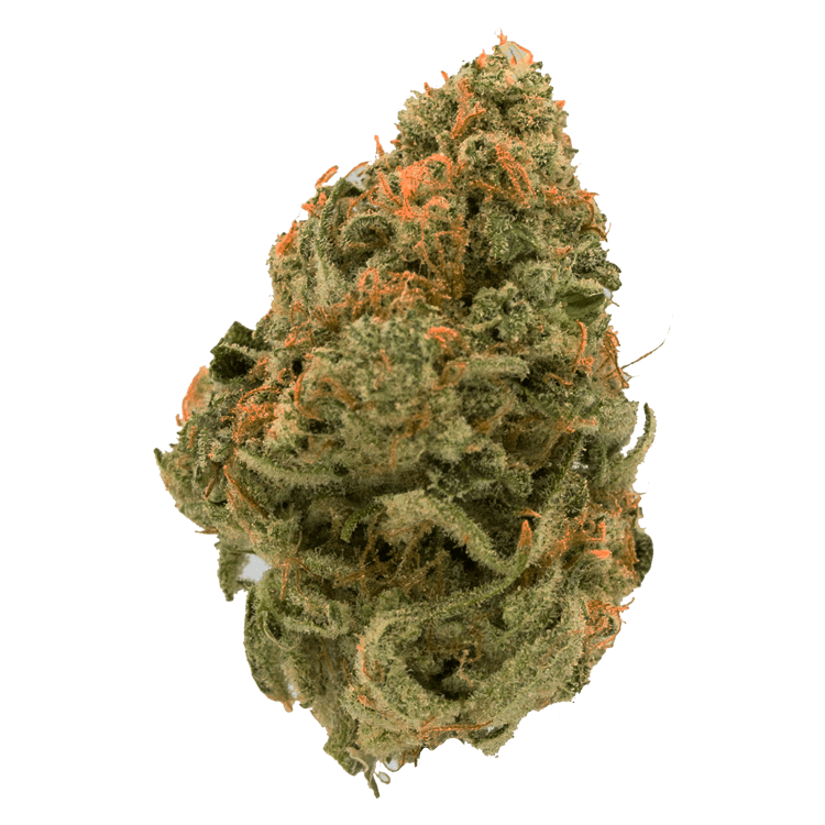 Durban Poison | BC Weed Edible Canada