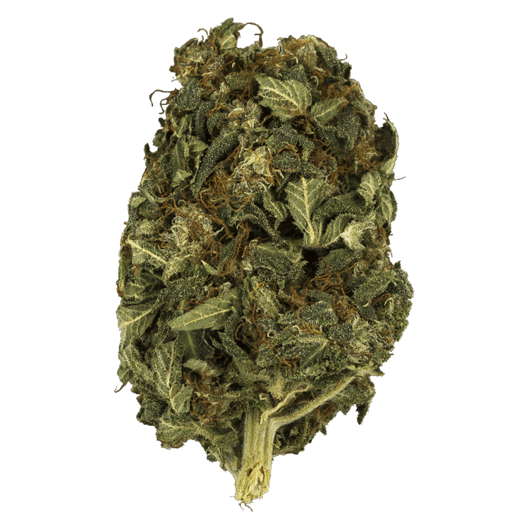 Midnight – 1 ounce (High CBD) | BC Weed Edible Canada