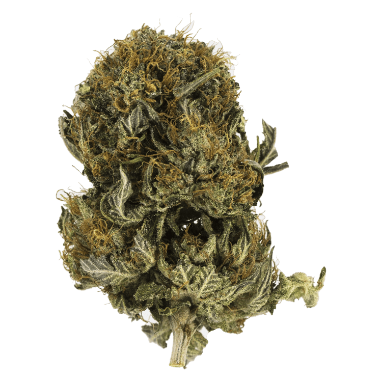 Blue Sherbert | BC Weed Edible Canada