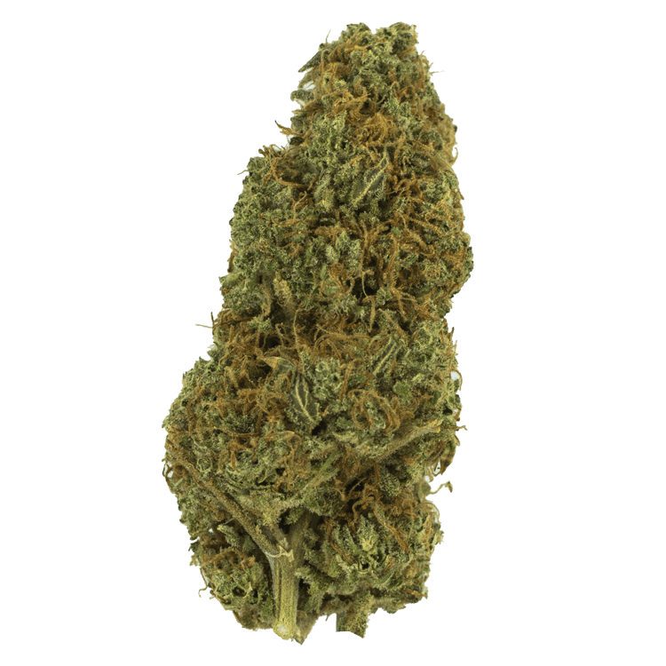 Lemon Cake – 1 ounce | BC Weed Edible Canada