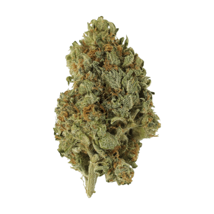 Sugar Cookies | BC Weed Edible Canada