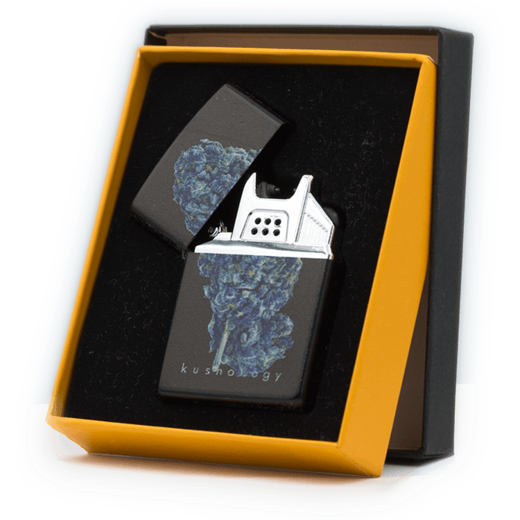 Kushology – Single Arc Plasma Lighter | BC Weed Edible Canada