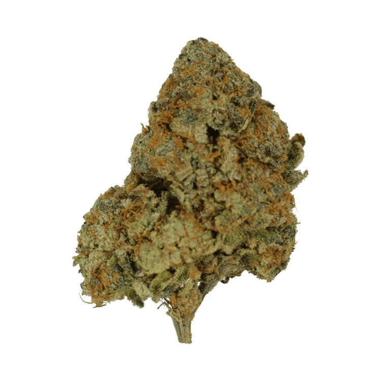 9lb Hammer | BC Weed Edible Canada 9lb Hammer | BC Weed Edible Canada