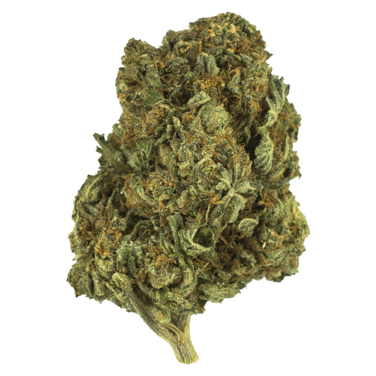 Berry White – 1 ounce | BC Weed Edible Canada