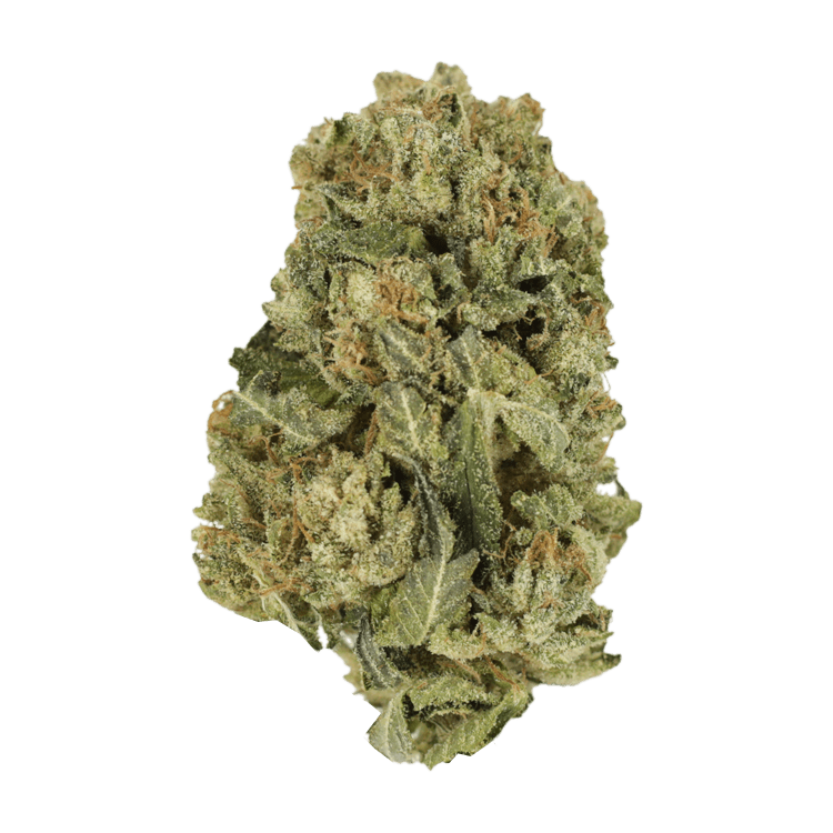 Black Domina | BC Weed Edible Canada