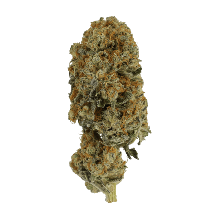 Black Cherry Soda | BC Weed Edible Canada