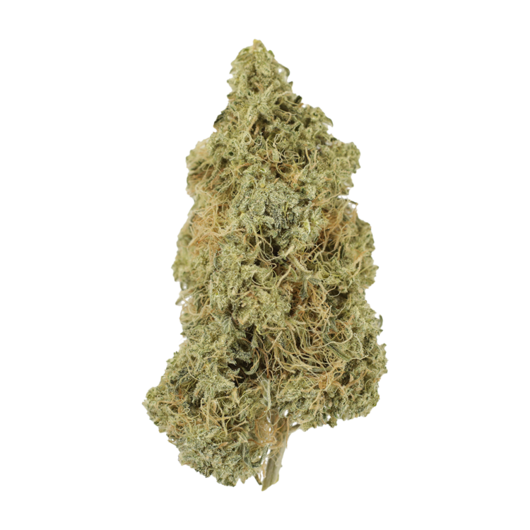 Tropicana Cookies | BC Weed Edible Canada