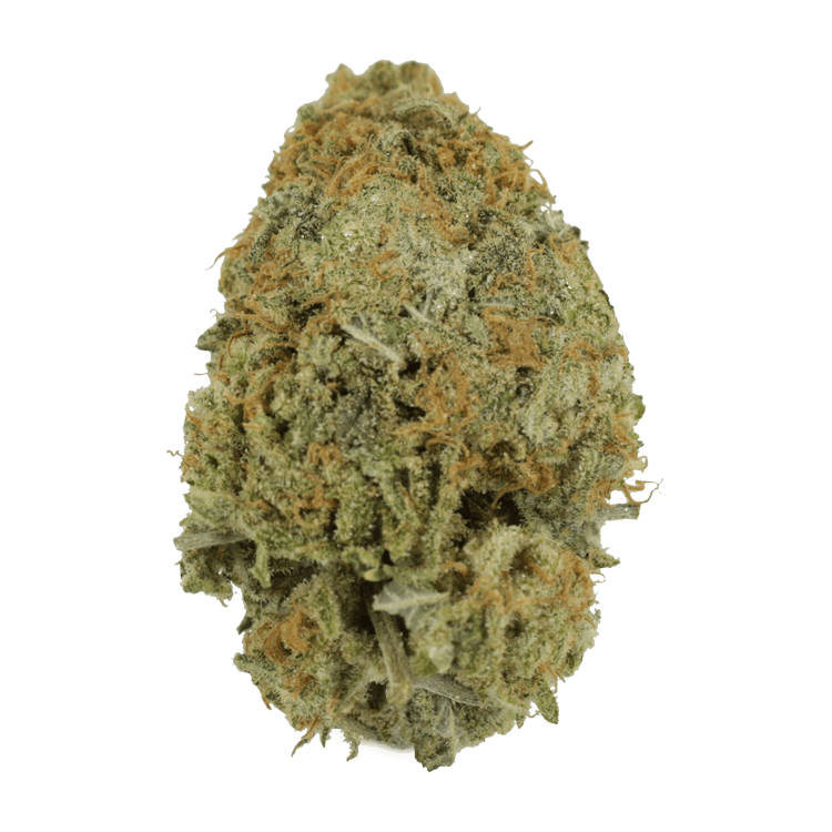 Pink Tuna (Popcorn) – $40/oz | BC Weed Edible Canada Pink Tuna (Popcorn) – $40/oz | BC Weed Edible Canada