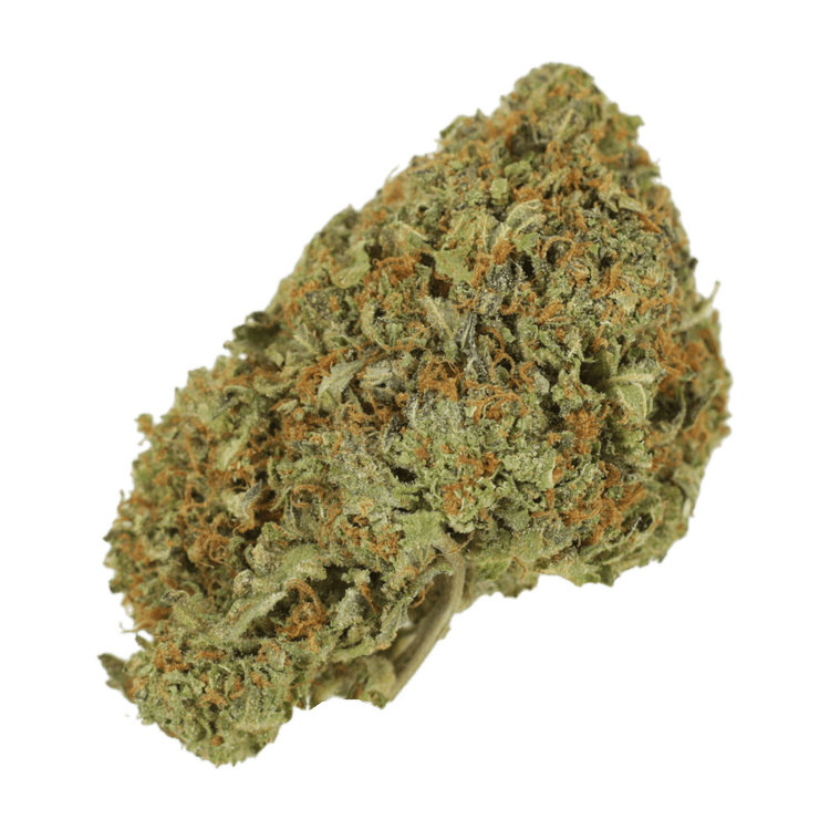 Garlic Breath – 1oz / $60 | BC Weed Edible Canada