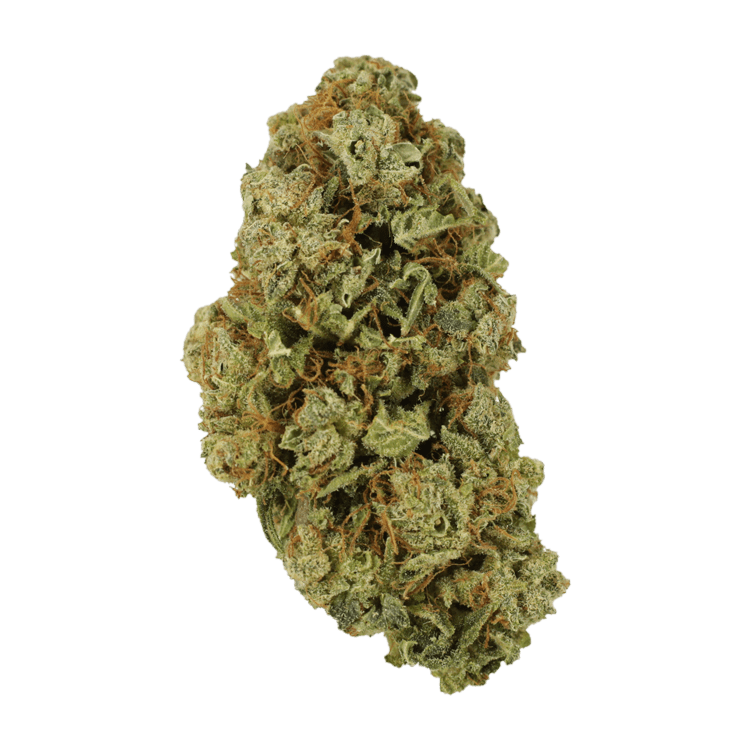 Sugar Pine | BC Weed Edible Canada