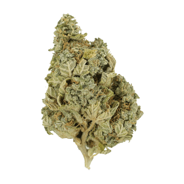 Khalifa Kush | BC Weed Edible Canada