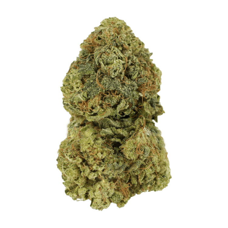 Critical Mass | BC Weed Edible Canada Critical Mass | BC Weed Edible Canada