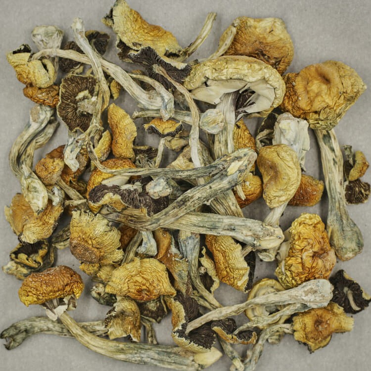 South American | BC Weed Edible Canada