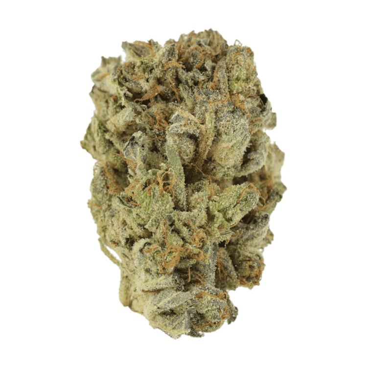 Mimosa Punch | BC Weed Edible Canada Mimosa Punch | BC Weed Edible Canada