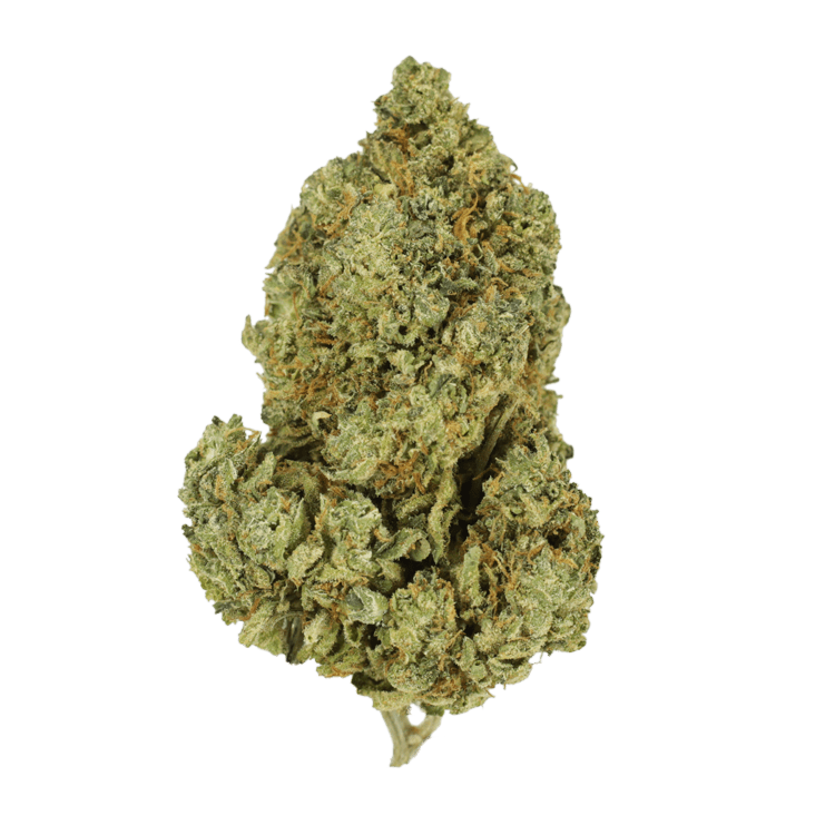 Scooby Snacks | BC Weed Edible Canada