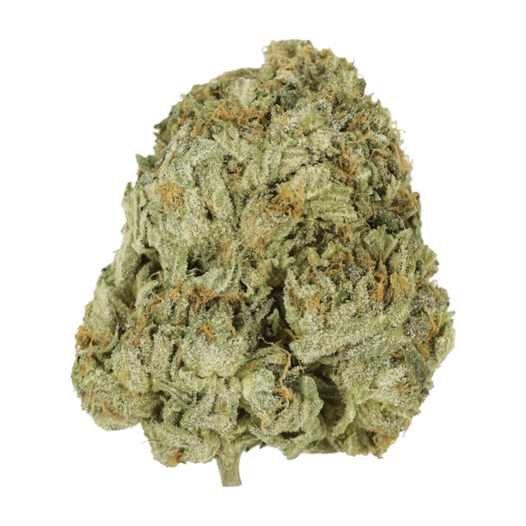 Godzilla Glue | BC Weed Edible Canada