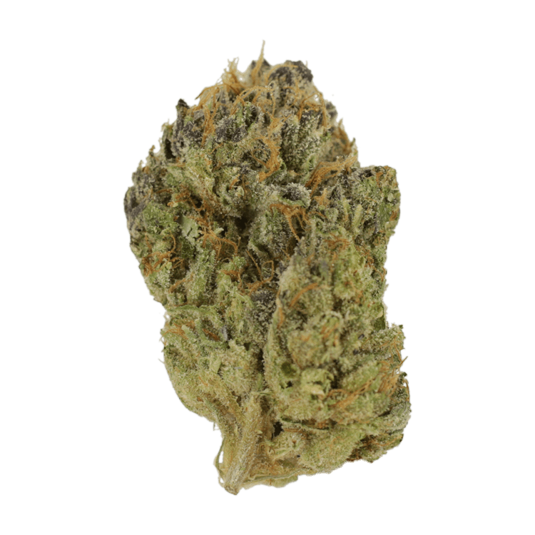 Blueberry Muffin | BC Weed Edible Canada