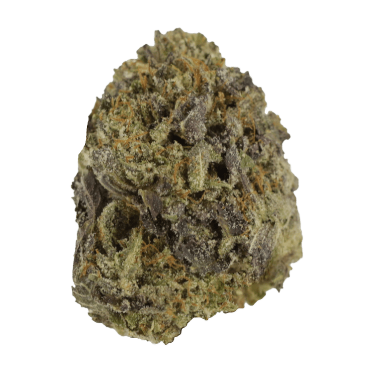 Snow Leopard | BC Weed Edible Canada